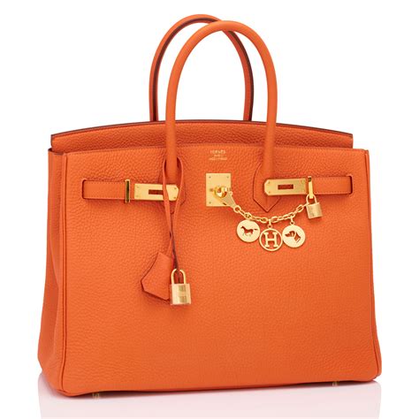 the Hermes Birkin